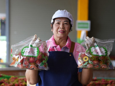 ส่องเส้นทาง “เงาะโรงเรียน” สินค้าจีไอ (GI) จ.สุราษฎร์ธานี ... พารามิเตอร์รูปภาพ 14